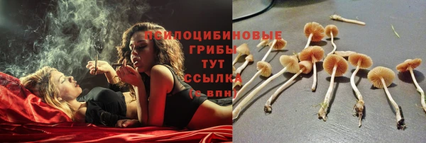 MDMA Premium VHQ Зеленодольск