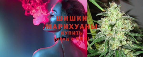 спиды Зеленокумск