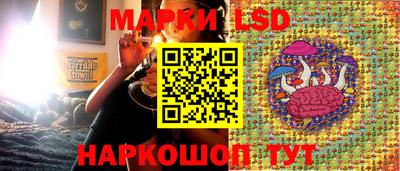 ГАЛЛЮЦИНОГЕННЫЕ ГРИБЫ Можга
