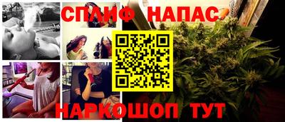 ГАЛЛЮЦИНОГЕННЫЕ ГРИБЫ Можга